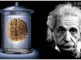 世界上IQ最高的人是谁?人类大脑10大惊天秘密