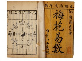《梅花易数》中国古代占卜法
