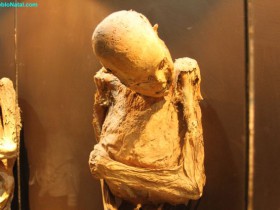 Photos of Mummies干尸