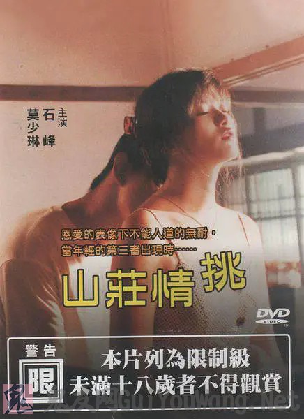台湾大尺度情色电影十大经典台湾三级片推荐