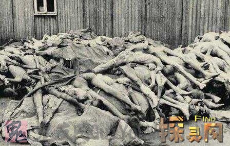 731部队女体实验内容，没有日本人不敢干的事情