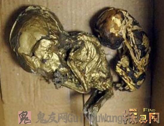泰国镀金婴尸用死去的婴儿做吉祥物进行贩卖